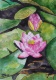Title: Water lily flower