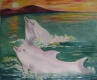 Title: white dauphins