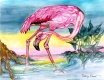 Title: Pink Flamingo