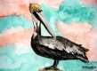 Title: pelican bird 3