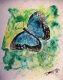 Title: blue butterfly