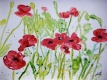 Title: Poppy red Yupo flower painting