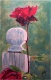 Title: White Post and Red Rose