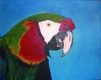 Title: Macaw