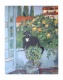 Title: Cat in Tuscany
