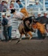 Title: Rodeo
