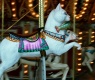 Title: Cat On The Merry-Go-Round