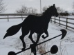 Title: Winter Horse