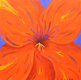 Title: orange flower