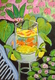 Title: Matisse Goldfish Etude #2
