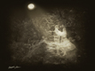 Title: Linger in the Moonlight 1 Antiqued