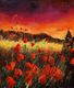 Title: Poppies at sunset 56