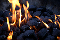 Title: Burning Coals