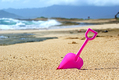 Title: Shovel In The Sand