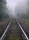 Title: Rail in fog