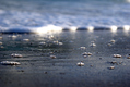 Title: Bubbles On The Sand