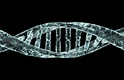 Title: DNA