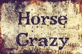 Title: Horse Crazy