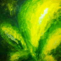 SOUR SENSATION (and the bird)