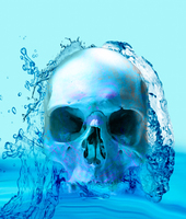  Skull in Water