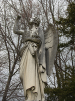 Stone Angel