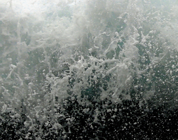 Beginning to See the Light