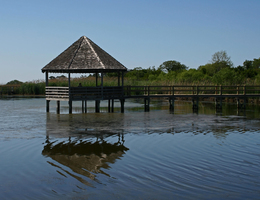 Currituck Gazebo