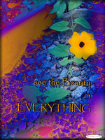 beauty in everything