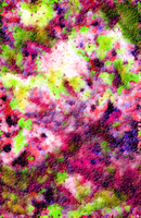 Feeling A Bit Pink, An Abstract