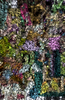 Multi Color Abstract