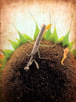 Praying For Sunshine