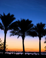 5.30 am while everyone else sleeps