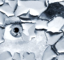 Beauty is only skin deep