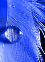 Be Careful What you Wish