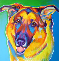 German Shepherd - Thomas