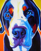 Greater Swiss Mountain Dog - Baron