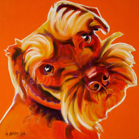 Miniature Schnauzer - Blue