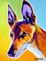 Pharaoh Hound - Linus
