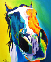 Horse - Up Close And Personal