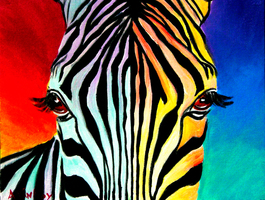 Zebra - Rainbow