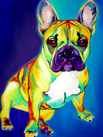 French Bulldog - Tugboat