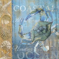 Crab and Sea- Art Licensing