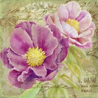 Peony Garden II- art licensing