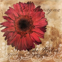 Gerbera Italia- art licensing