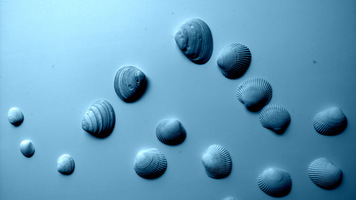 a few more beach drinks