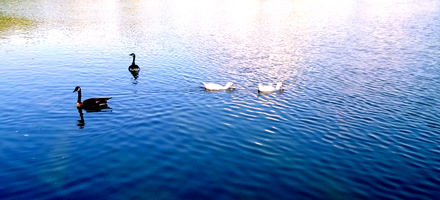 see you guys tomorrow