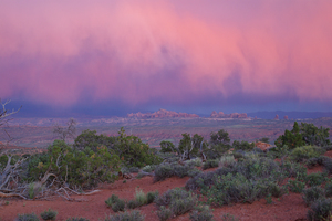 Storm in the Desert