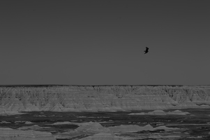 Soaring Over Desolation