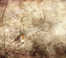 A song to be sung ...