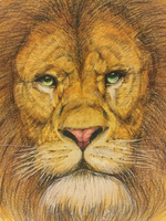 The Regal Lion Roar Of Freedom